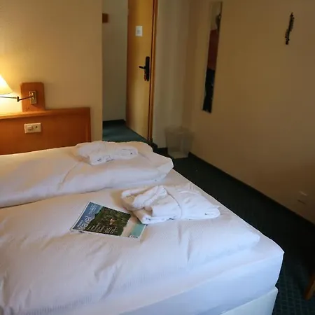 Hotel Grichting Hotel&serviced 3*