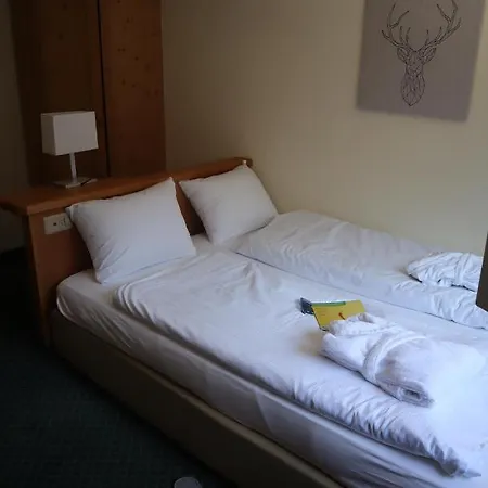 Grichting Hotel&serviced 3*