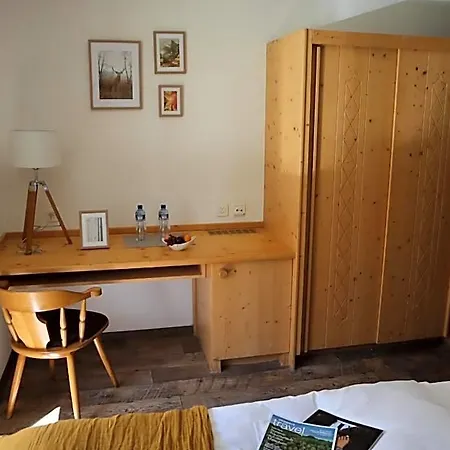 Hotel Grichting Hotel&serviced 3*