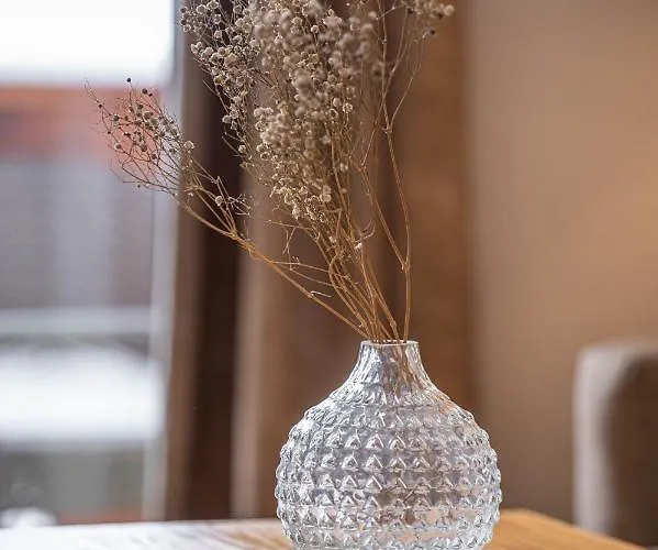 Hotel Grichting & Serviced 3*