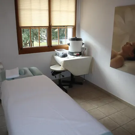 Grichting & Serviced 3* لوكباد