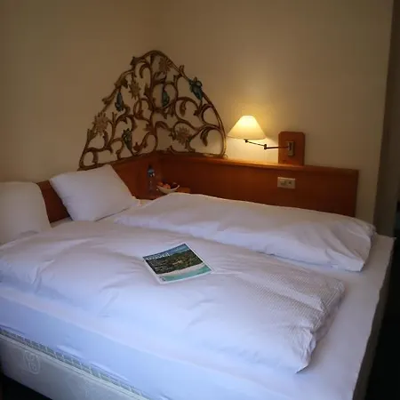 Grichting & Serviced Hotel Leukerbad